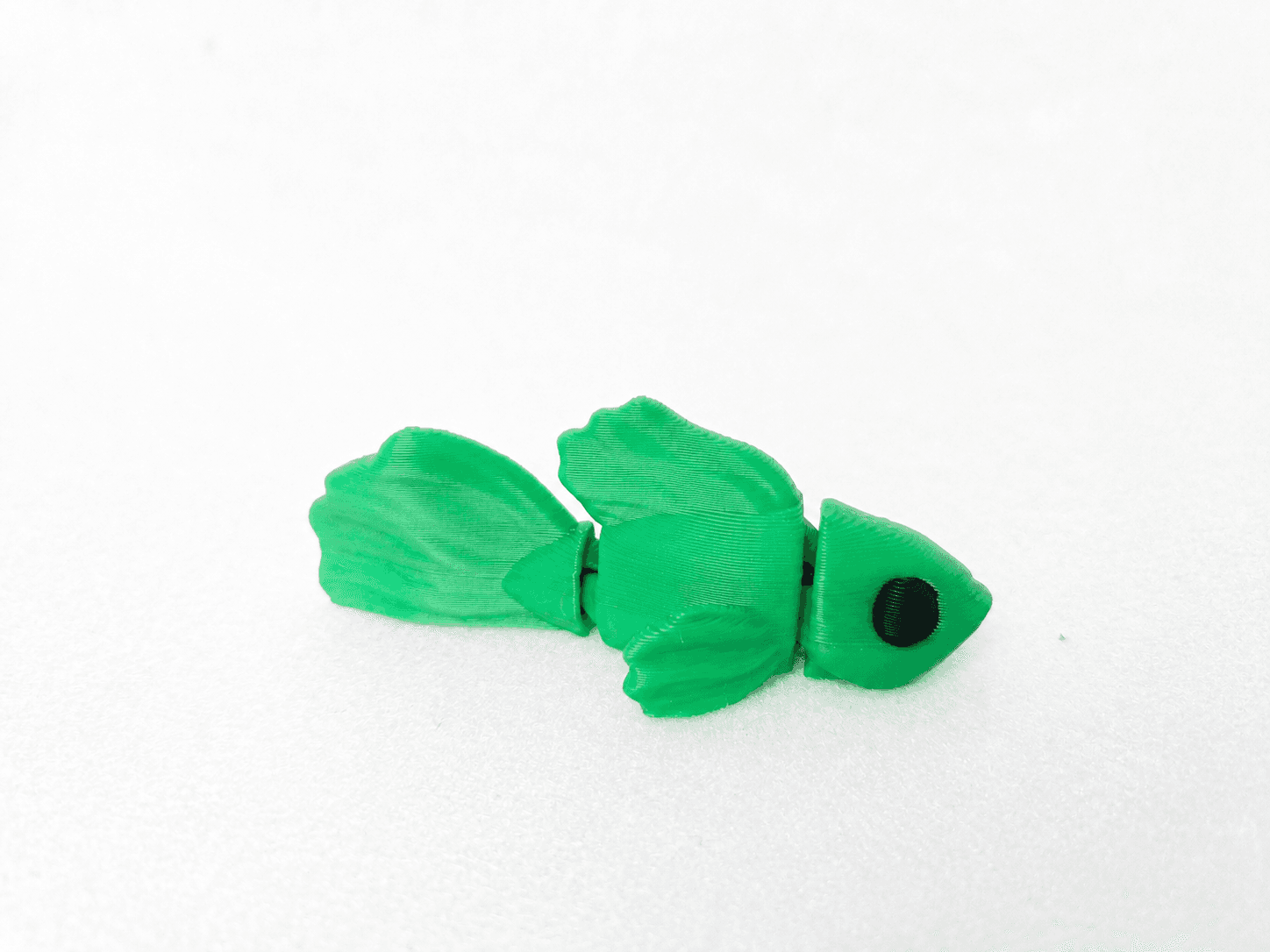 Flexi Betta Fish